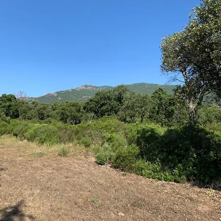 Maison J&j * Porto Vecchio